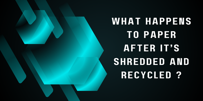 What Happens to Paper After It’s Shredded and Recycled